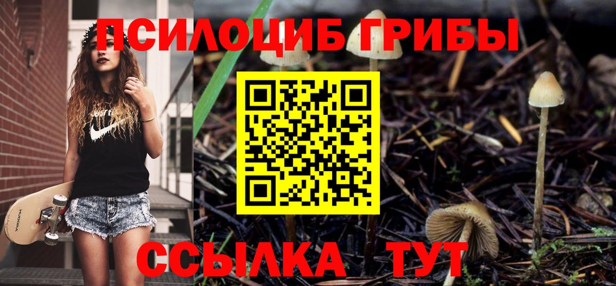 Псилоцибиновые грибы прущие грибы Курск